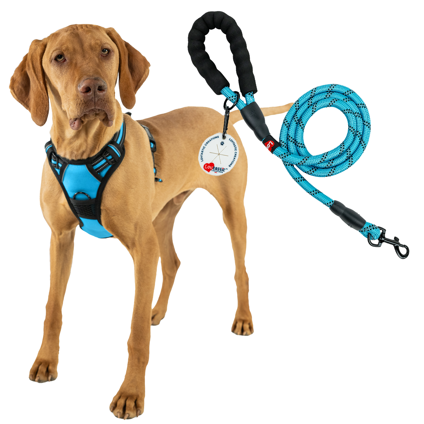 Lovtastic Creations No Pull Dog Harness - with Strong & Durable Dog Leash & Free Poopbag Holder 3pcs Set | Reflective No-Choke Pet Harness