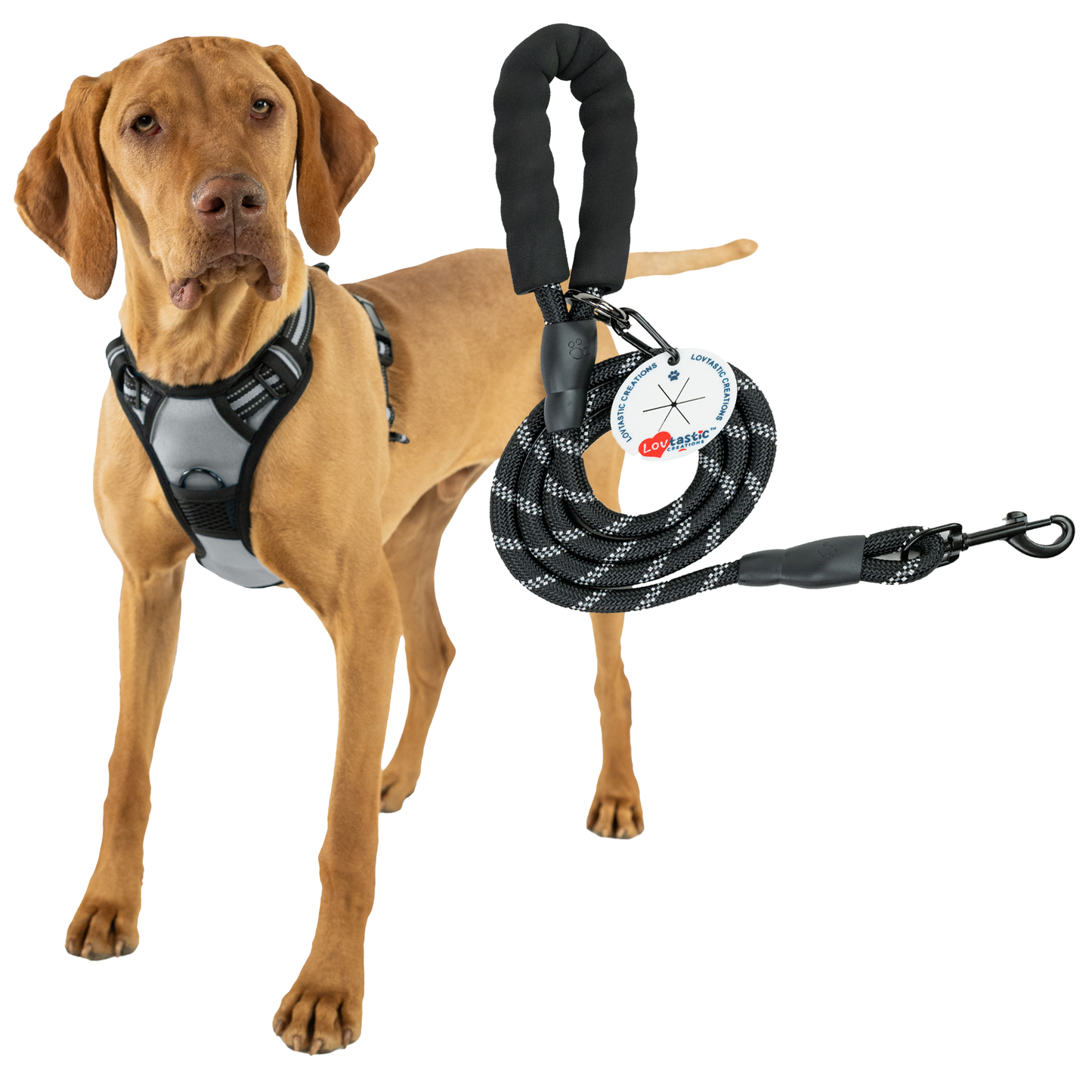 Lovtastic Creations™ No-Pull Dog Harness - with Strong & Durable Dog Leash & Free Poopbag Holder 3pcs Set | Reflective No-Choke Pet Harness