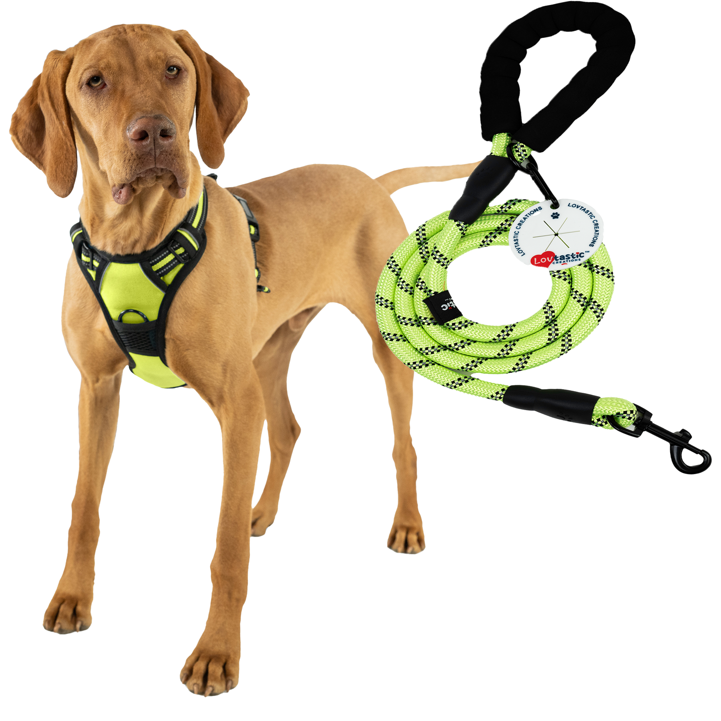 Lovtastic Creations No Pull Dog Harness - with Strong & Durable Dog Leash & Free Poopbag Holder 3pcs Set | Reflective No-Choke Pet Harness