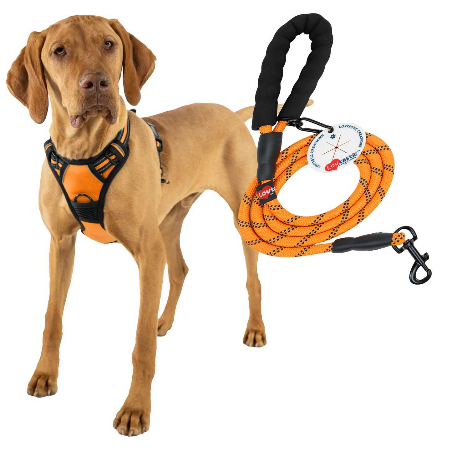 Lovtastic Creations No Pull Dog Harness - with Strong & Durable Dog Leash & Free Poopbag Holder 3pcs Set | Reflective No-Choke Pet Harness