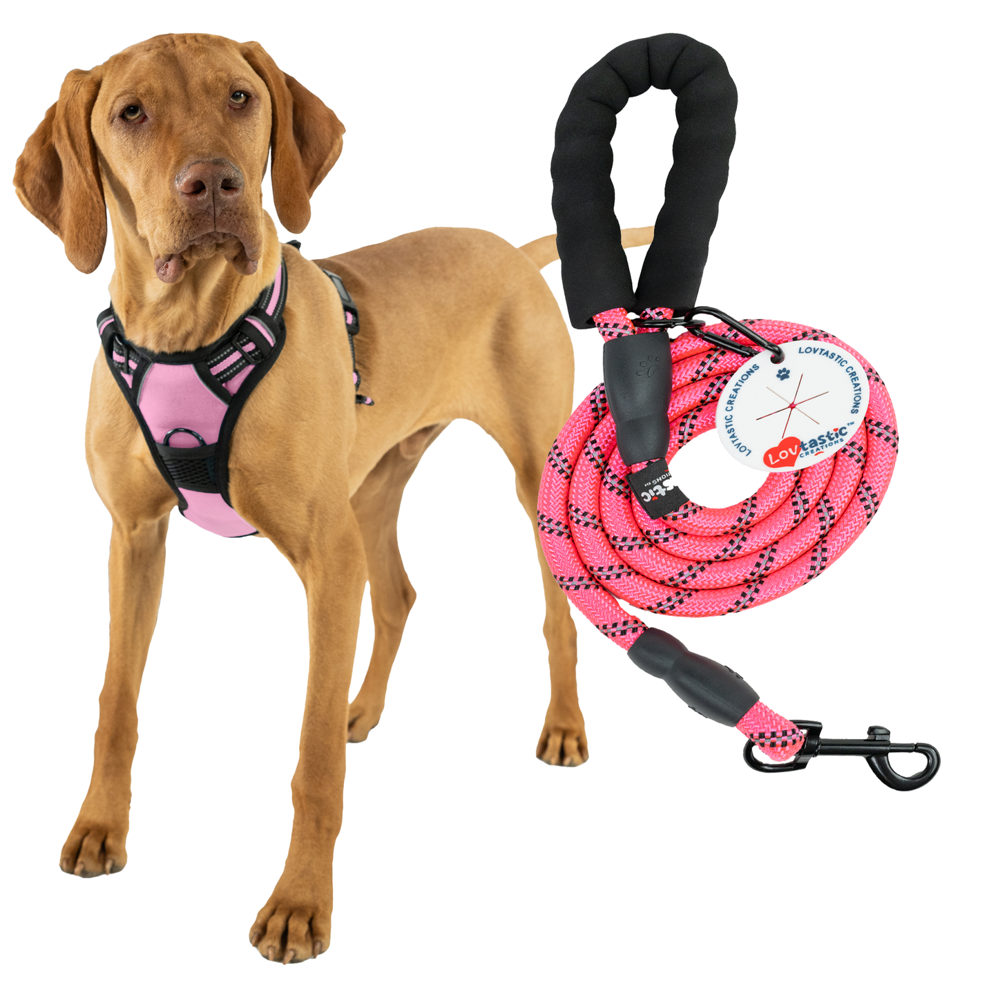 Lovtastic Creations No Pull Dog Harness - with Strong & Durable Dog Leash & Free Poopbag Holder 3pcs Set | Reflective No-Choke Pet Harness
