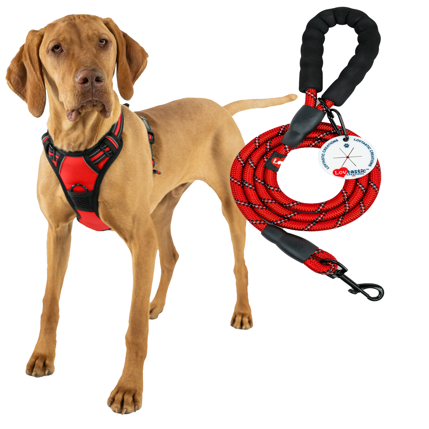 Lovtastic Creations No Pull Dog Harness - with Strong & Durable Dog Leash & Free Poopbag Holder 3pcs Set | Reflective No-Choke Pet Harness