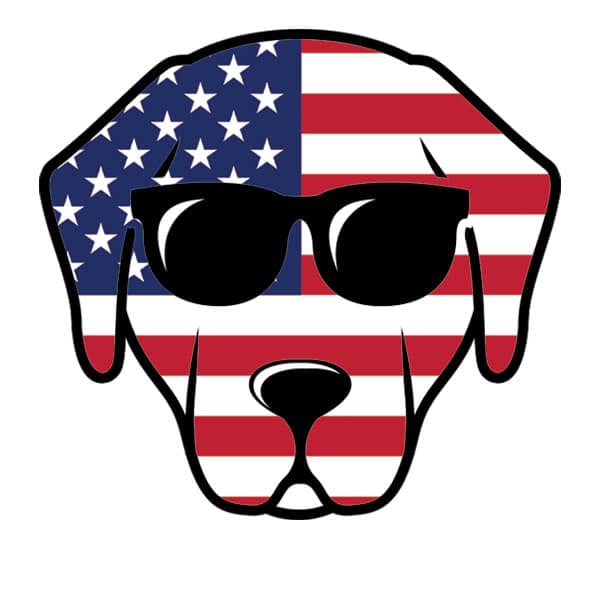 Magnet-American Flag Lab