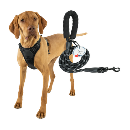 Lovtastic Creations™ No-Pull Dog Harness - with Strong & Durable Dog Leash & Free Poopbag Holder 3pcs Set | Reflective No-Choke Pet Harness
