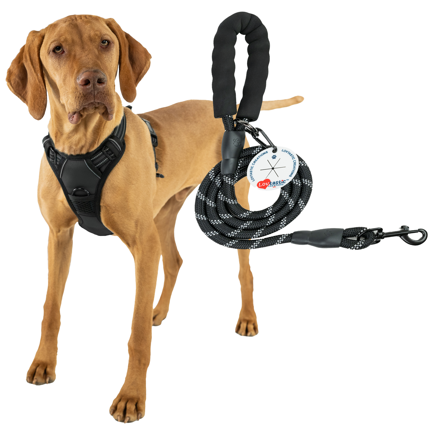 Lovtastic Creations No Pull Dog Harness - with Strong & Durable Dog Leash & Free Poopbag Holder 3pcs Set | Reflective No-Choke Pet Harness