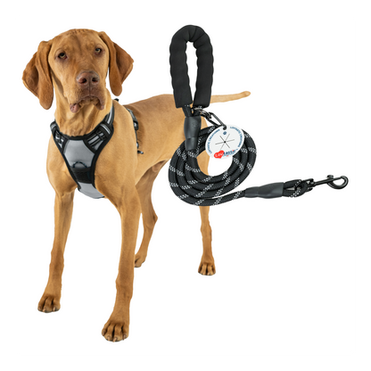 Lovtastic Creations™ No-Pull Dog Harness - with Strong & Durable Dog Leash & Free Poopbag Holder 3pcs Set | Reflective No-Choke Pet Harness