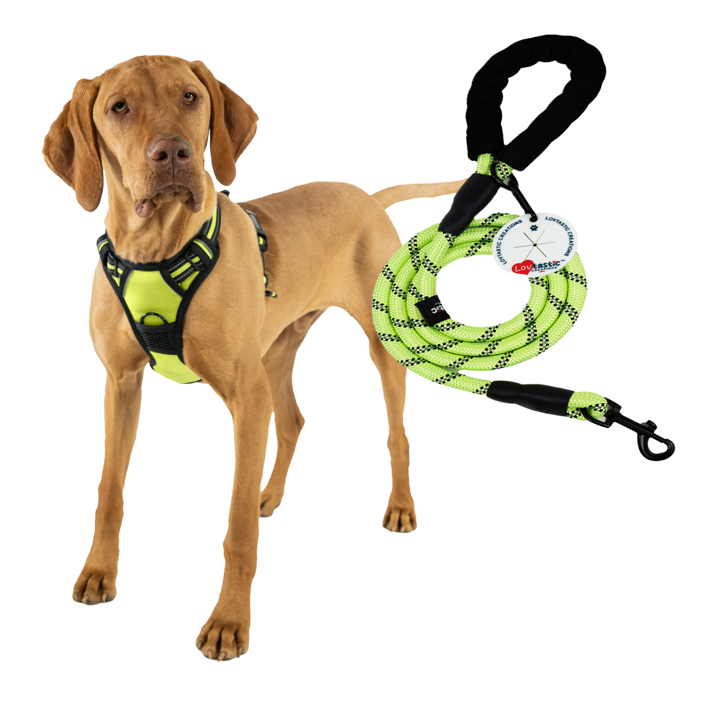 Lovtastic Creations™ No-Pull Dog Harness - with Strong & Durable Dog Leash & Free Poopbag Holder 3pcs Set | Reflective No-Choke Pet Harness
