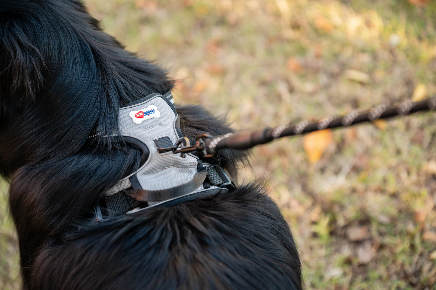 Lovtastic Creations™ No-Pull Dog Harness - with Strong & Durable Dog Leash & Free Poopbag Holder 3pcs Set | Reflective No-Choke Pet Harness