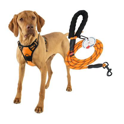 Lovtastic Creations™ No-Pull Dog Harness - with Strong & Durable Dog Leash & Free Poopbag Holder 3pcs Set | Reflective No-Choke Pet Harness