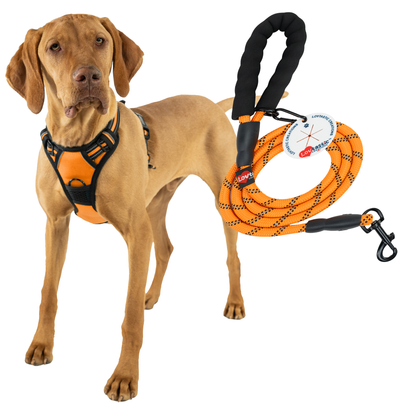 Lovtastic Creations™ No-Pull Dog Harness - with Strong & Durable Dog Leash & Free Poopbag Holder 3pcs Set | Reflective No-Choke Pet Harness