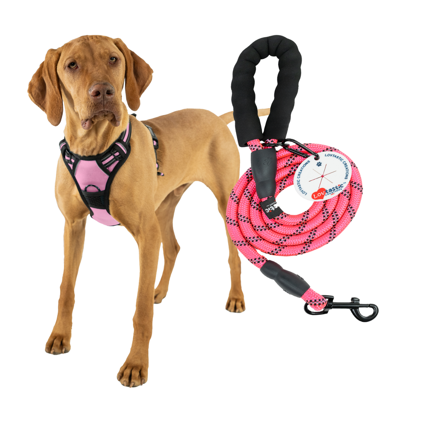 Lovtastic Creations™ No-Pull Dog Harness - with Strong & Durable Dog Leash & Free Poopbag Holder 3pcs Set | Reflective No-Choke Pet Harness