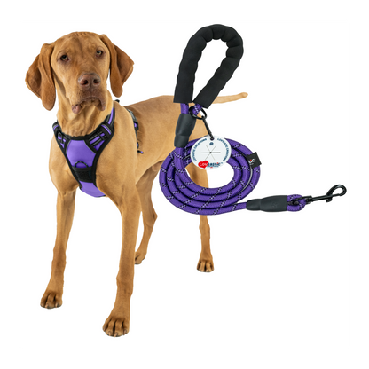 Lovtastic Creations™ No-Pull Dog Harness - with Strong & Durable Dog Leash & Free Poopbag Holder 3pcs Set | Reflective No-Choke Pet Harness