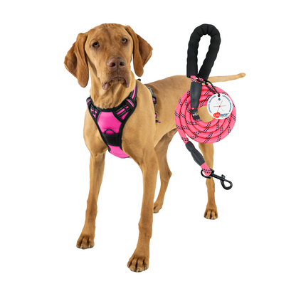 Lovtastic Creations™ No-Pull Dog Harness - with Strong & Durable Dog Leash & Free Poopbag Holder 3pcs Set | Reflective No-Choke Pet Harness