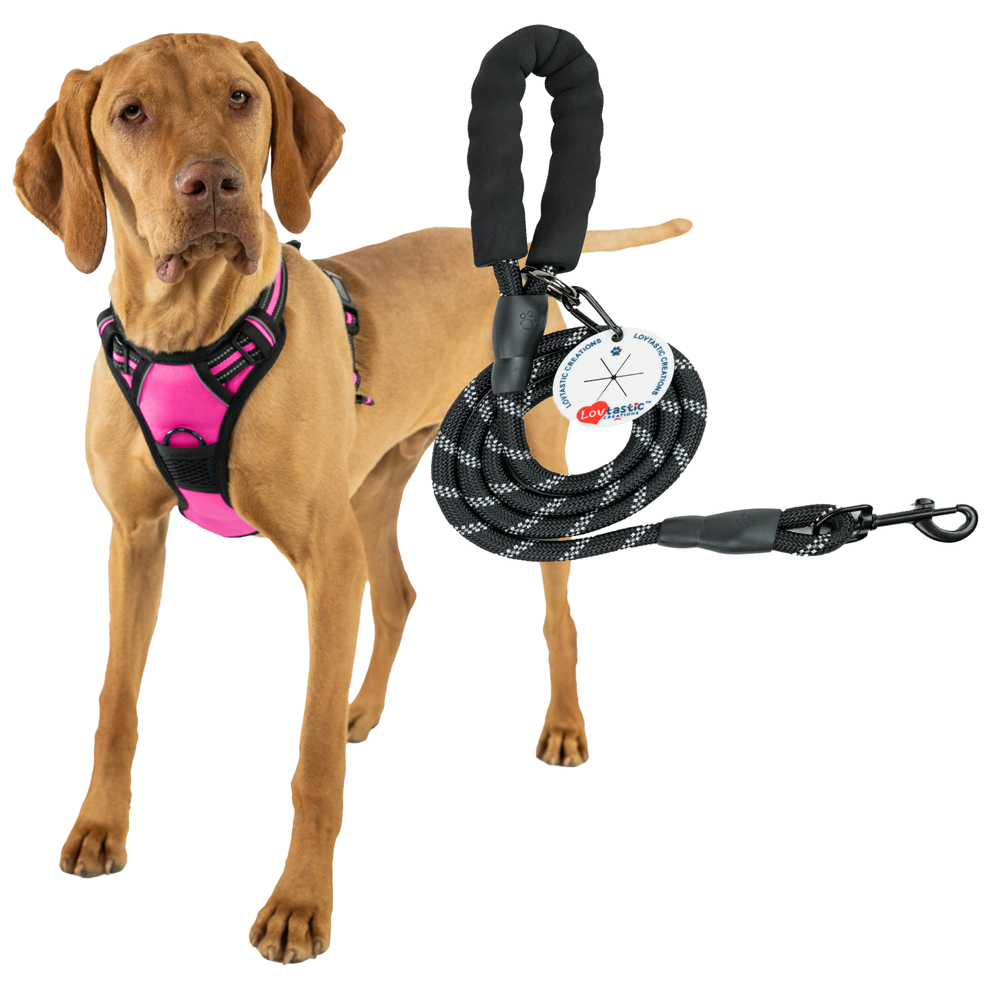 Lovtastic Creations No Pull Dog Harness - with Strong & Durable Dog Leash & Free Poopbag Holder 3pcs Set | Reflective No-Choke Pet Harness