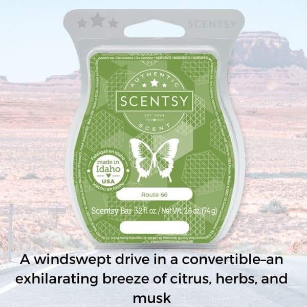 Scentsy Bar