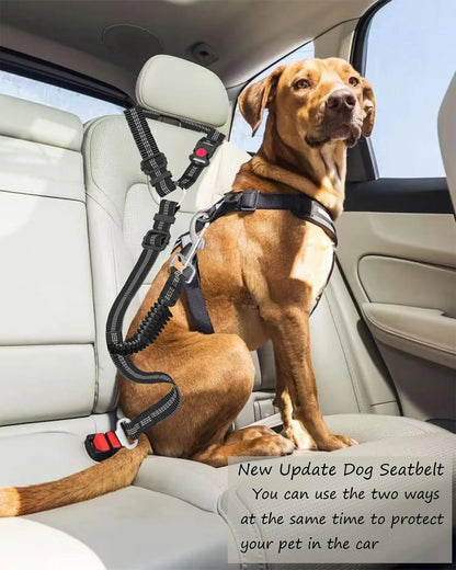 Lovtastic Creations™ Adjustable Heavy-Duty Dog Car Seat Belt – Striped Nylon Travel Safety Leash