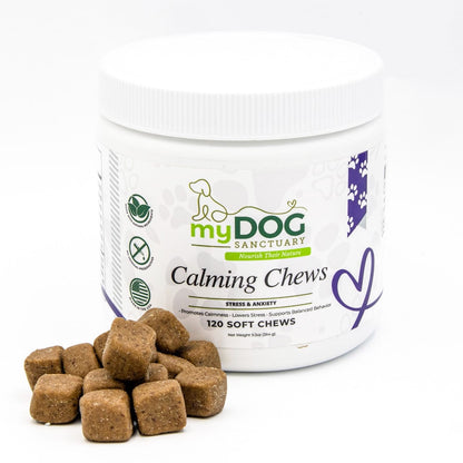 Tranquil Haven™ Calming Chews from My Dog Sanctuary – Dog Anxiety Support Treats
