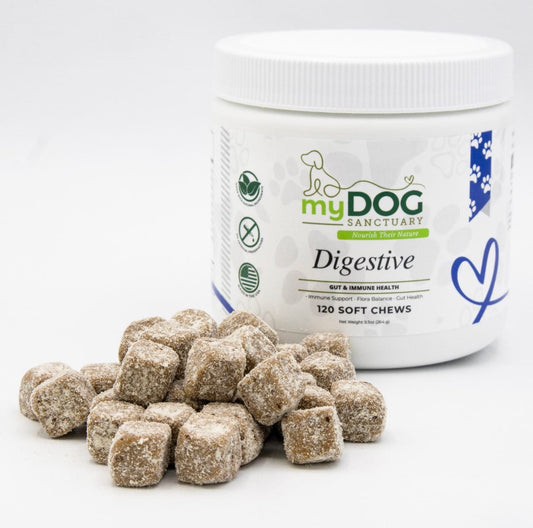Gut Garden™ Digestive Support Chews from My Dog Sanctuary – Dog Digestive Wellness Treats