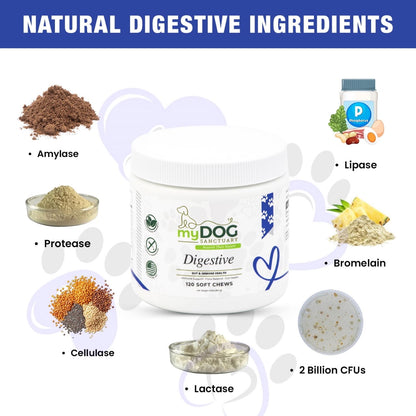 Gut Garden™ Digestive Support Chews from My Dog Sanctuary – Dog Digestive Wellness Treats
