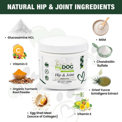 Sacred Steps™ Hip & Joint Support Chews from My Dog Sanctuary – Dog Joint Wellness Supplements