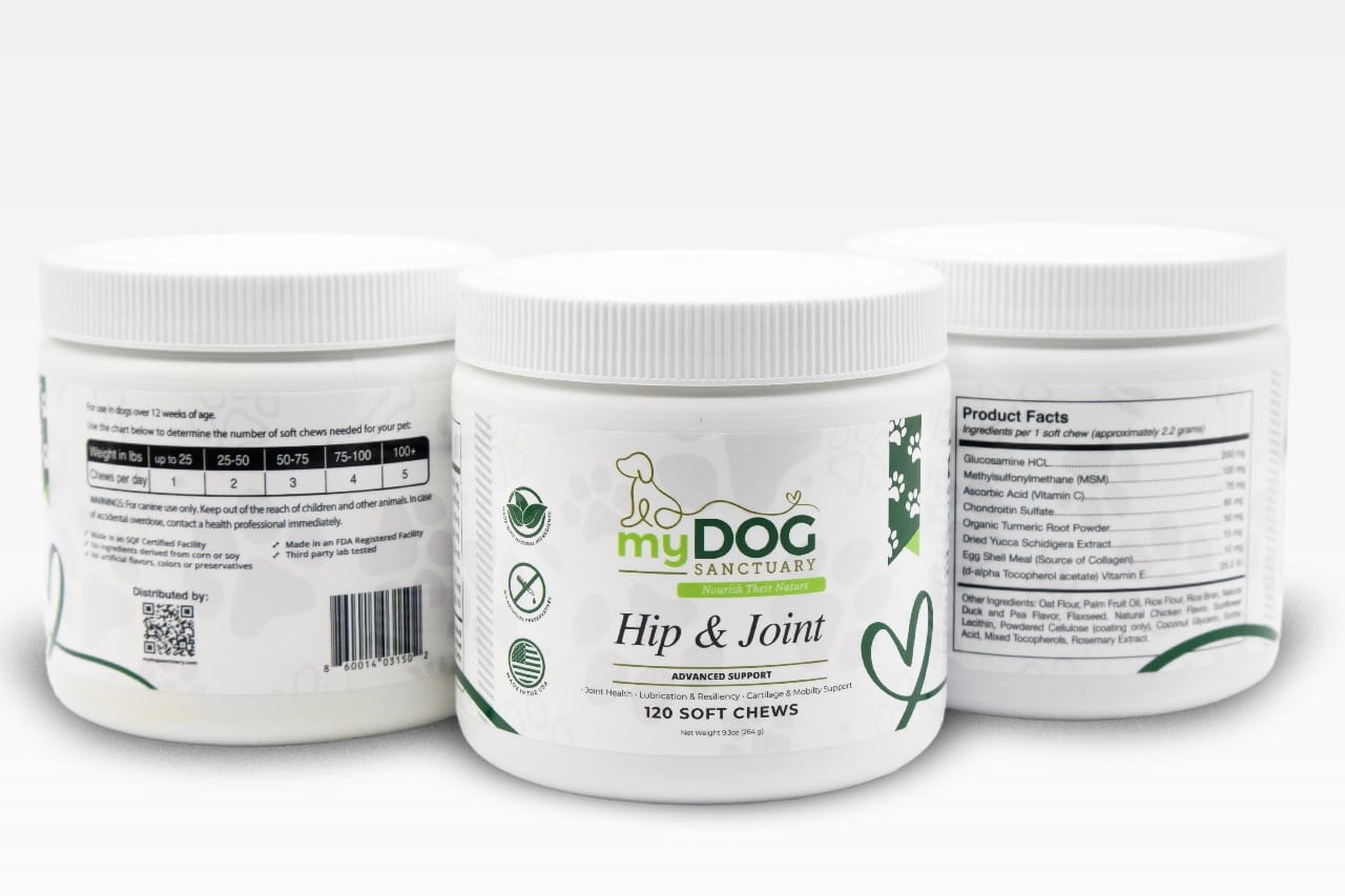 Sacred Steps™ Hip & Joint Support Chews from My Dog Sanctuary – Dog Joint Wellness Supplements