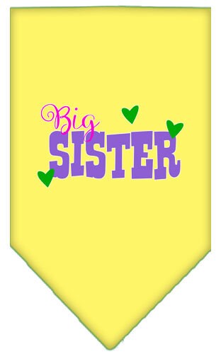 “Big Sister” Cotton Pet Bandana from As You Wish Apparel – Dog Family Bandana