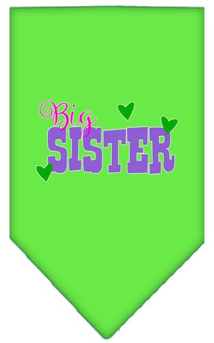 “Big Sister” Cotton Pet Bandana from As You Wish Apparel – Dog Family Bandana