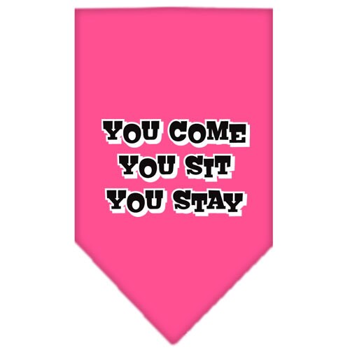 “You Come, You Sit, You Stay” Cotton Pet Bandana from As You Wish Apparel – Dog Humor Bandana
