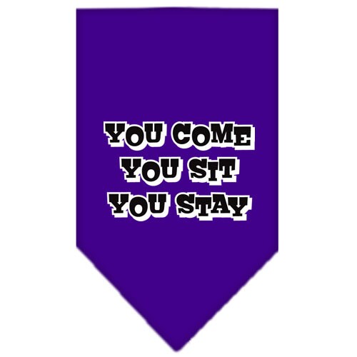 “You Come, You Sit, You Stay” Cotton Pet Bandana from As You Wish Apparel – Dog Humor Bandana