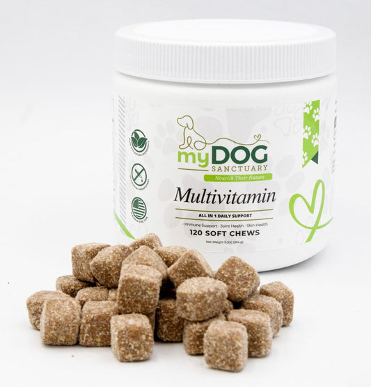 Sanctuary Strength™ Daily Multivitamin Chews from My Dog Sanctuary – Dog Wellness Supplements