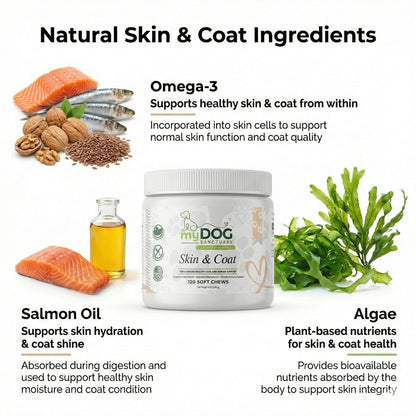 Radiant Refuge™ Skin & Coat Chews from My Dog Sanctuary – Dog Skin & Coat Wellness Supplements